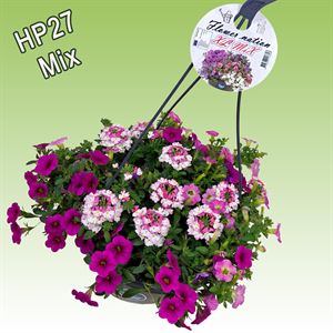 Bild von Hp27 multi mix baby blush new